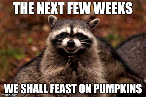 Evil Plotting Raccoon | THE NEXT FEW WEEKS; WE SHALL FEAST ON PUMPKINS | image tagged in memes,evil plotting raccoon | made w/ Imgflip meme maker