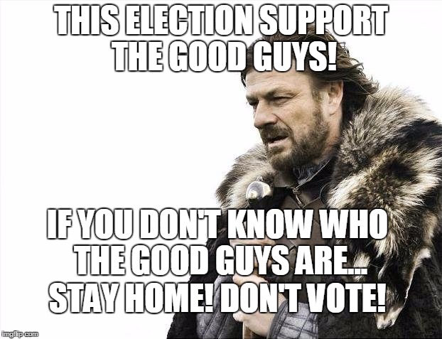 Brace Yourselves X is Coming | THIS ELECTION SUPPORT THE GOOD GUYS! IF YOU DON'T KNOW WHO THE GOOD GUYS ARE... STAY HOME! DON'T VOTE! | image tagged in memes,brace yourselves x is coming | made w/ Imgflip meme maker