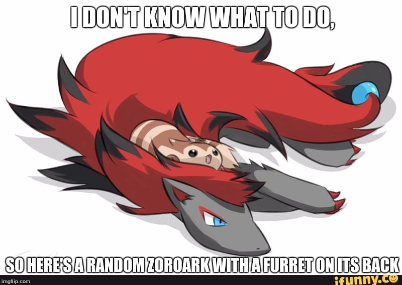 Random Pokemon | I DON'T KNOW WHAT TO DO, SO HERE'S A RANDOM ZOROARK WITH A FURRET ON ITS BACK | image tagged in furret,zoroark,lying | made w/ Imgflip meme maker