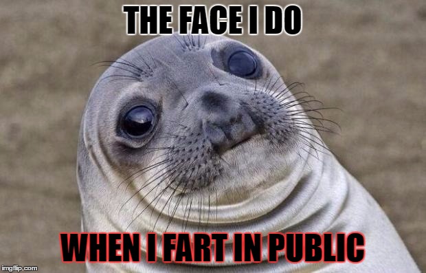 Awkward Moment Sealion Meme | THE FACE I DO; WHEN I FART IN PUBLIC | image tagged in memes,awkward moment sealion | made w/ Imgflip meme maker
