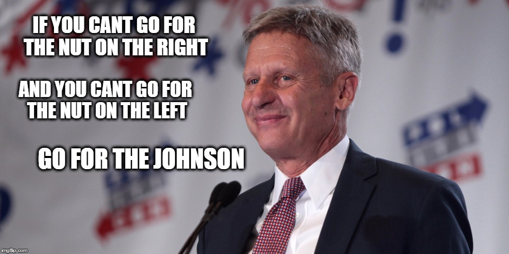 Go for it | IF YOU CANT GO FOR THE NUT ON THE RIGHT; AND YOU CANT GO FOR THE NUT ON THE LEFT; GO FOR THE JOHNSON | image tagged in gary johnson | made w/ Imgflip meme maker