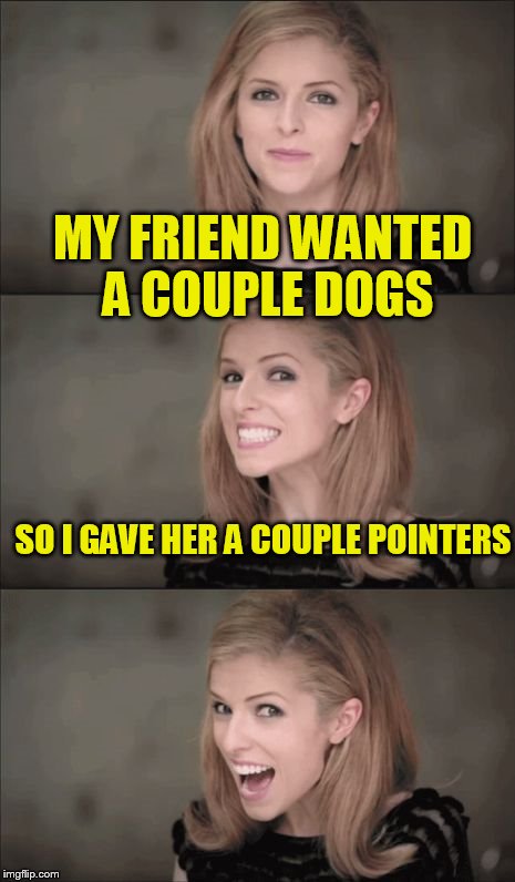 Bad Pun Anna Kendrick | MY FRIEND WANTED A COUPLE DOGS; SO I GAVE HER A COUPLE POINTERS | image tagged in memes,bad pun anna kendrick | made w/ Imgflip meme maker