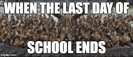 WHEN THE LAST DAY OF; SCHOOL ENDS | image tagged in wookies,school | made w/ Imgflip meme maker