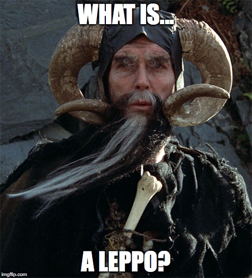 Tim the Enchanter | WHAT IS... A LEPPO? | image tagged in gary johnson | made w/ Imgflip meme maker