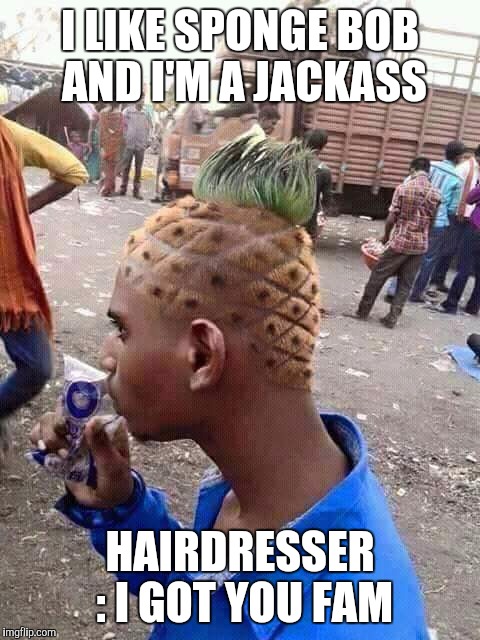 Pineapple hair | I LIKE SPONGE BOB AND I'M A JACKASS; HAIRDRESSER : I GOT YOU FAM | image tagged in pineapple hair | made w/ Imgflip meme maker