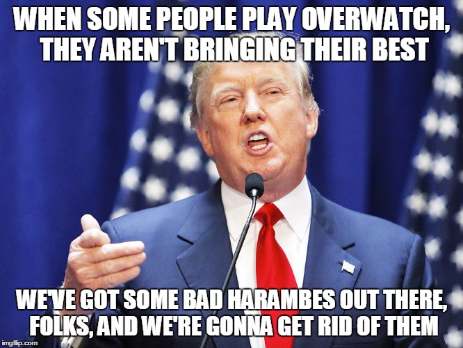 Trump | WHEN SOME PEOPLE PLAY OVERWATCH, THEY AREN'T BRINGING THEIR BEST; WE'VE GOT SOME BAD HARAMBES OUT THERE, FOLKS, AND WE'RE GONNA GET RID OF THEM | image tagged in trump | made w/ Imgflip meme maker