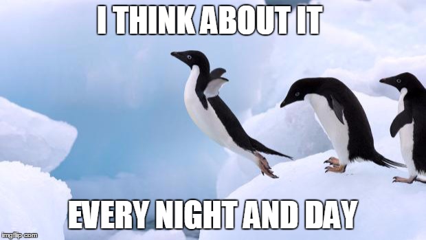 flying penguin | I THINK ABOUT IT; EVERY NIGHT AND DAY | image tagged in flying penguin | made w/ Imgflip meme maker