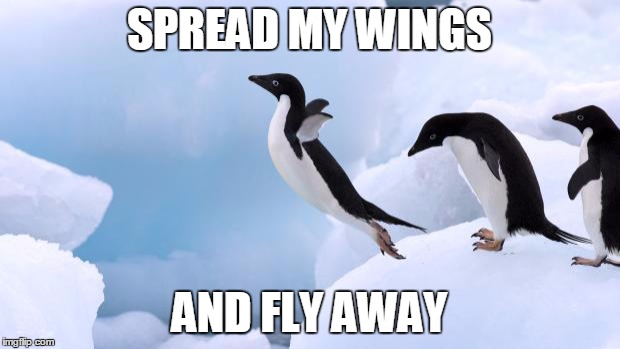 flying penguin | SPREAD MY WINGS; AND FLY AWAY | image tagged in flying penguin | made w/ Imgflip meme maker