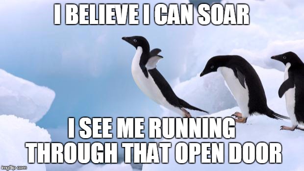 flying penguin | I BELIEVE I CAN SOAR; I SEE ME RUNNING THROUGH THAT OPEN DOOR | image tagged in flying penguin | made w/ Imgflip meme maker