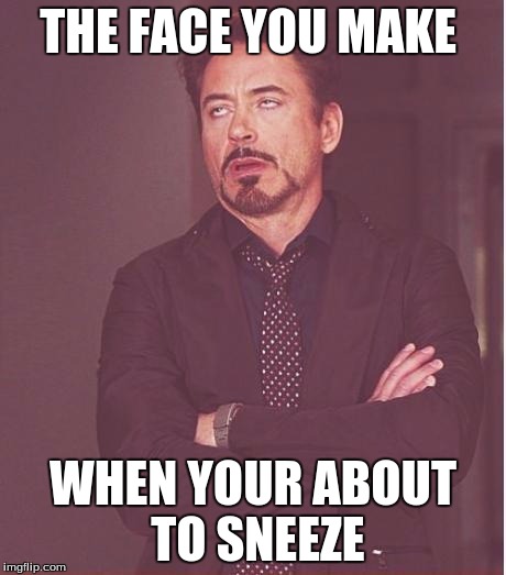 Face You Make Robert Downey Jr Meme | THE FACE YOU MAKE; WHEN YOUR ABOUT TO SNEEZE | image tagged in memes,face you make robert downey jr | made w/ Imgflip meme maker