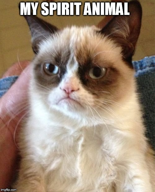 Grumpy Cat Meme | MY SPIRIT ANIMAL | image tagged in memes,grumpy cat | made w/ Imgflip meme maker