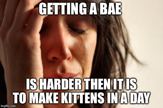 First World Problems Meme | GETTING A BAE; IS HARDER THEN IT IS TO MAKE KITTENS IN A DAY | image tagged in memes,first world problems | made w/ Imgflip meme maker