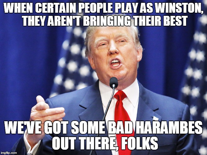 Trump | WHEN CERTAIN PEOPLE PLAY AS WINSTON, THEY AREN'T BRINGING THEIR BEST; WE'VE GOT SOME BAD HARAMBES OUT THERE, FOLKS | image tagged in trump | made w/ Imgflip meme maker