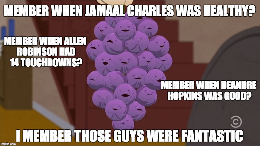 Member Berries | MEMBER WHEN JAMAAL CHARLES
WAS HEALTHY? MEMBER WHEN ALLEN ROBINSON HAD 14 TOUCHDOWNS? MEMBER WHEN DEANDRE HOPKINS WAS GOOD? I MEMBER THOSE GUYS WERE FANTASTIC | image tagged in memes,member berries | made w/ Imgflip meme maker