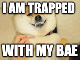 doge | I AM TRAPPED; WITH MY BAE | image tagged in doge | made w/ Imgflip meme maker