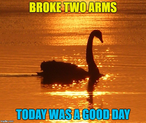 Has ANYBODY ever had their arm broken by a swan? |  BROKE TWO ARMS; TODAY WAS A GOOD DAY | image tagged in swan at sunset,memes,urban myths,urban legend,animals,swans | made w/ Imgflip meme maker