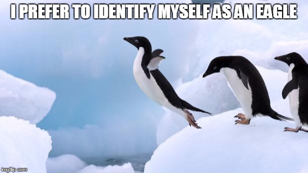 flying penguin | I PREFER TO IDENTIFY MYSELF AS AN EAGLE | image tagged in flying penguin | made w/ Imgflip meme maker