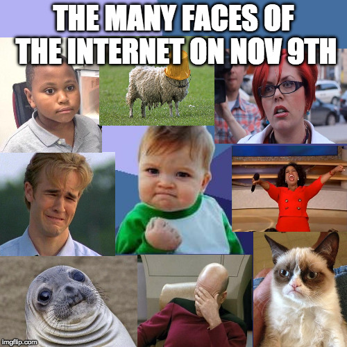 Which one will you be? | THE MANY FACES OF THE INTERNET ON NOV 9TH | image tagged in success kid,angry feminist,sheep,picard,hillary clinton,trump | made w/ Imgflip meme maker