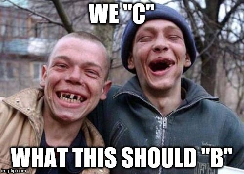 Ugly_Twins | WE "C" WHAT THIS SHOULD "B" | image tagged in ugly_twins | made w/ Imgflip meme maker