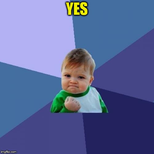 Success Kid Meme | YES | image tagged in memes,success kid | made w/ Imgflip meme maker