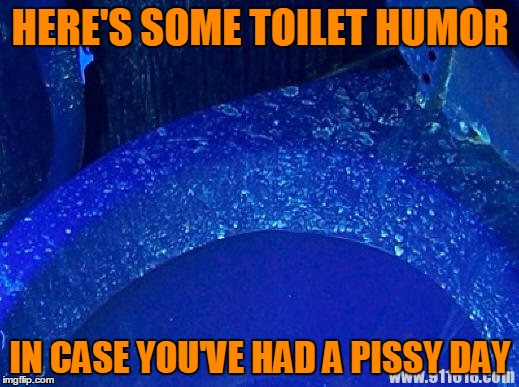 Ghost Has Resorted To Toilet Humor | HERE'S SOME TOILET HUMOR; IN CASE YOU'VE HAD A PISSY DAY | image tagged in toilet under uv light,memes,my templates challenge,sorry guys,it had to be done,there might be a clue in there | made w/ Imgflip meme maker