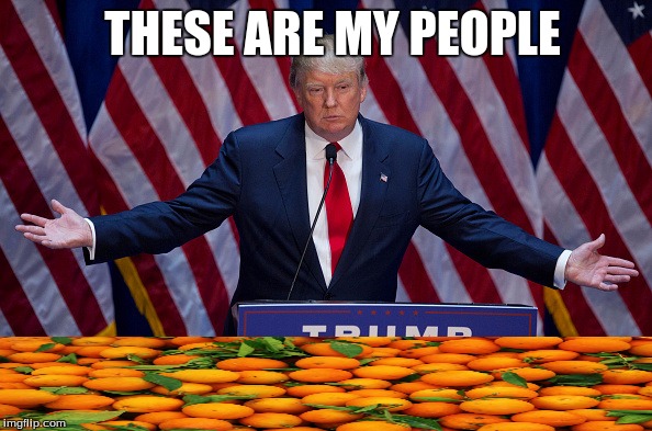 Donald Trump | THESE ARE MY PEOPLE | image tagged in donald trump | made w/ Imgflip meme maker