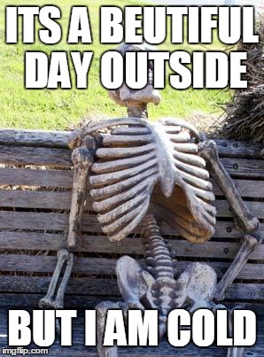 Waiting Skeleton Meme | ITS A BEUTIFUL DAY OUTSIDE; BUT I AM COLD | image tagged in memes,waiting skeleton | made w/ Imgflip meme maker