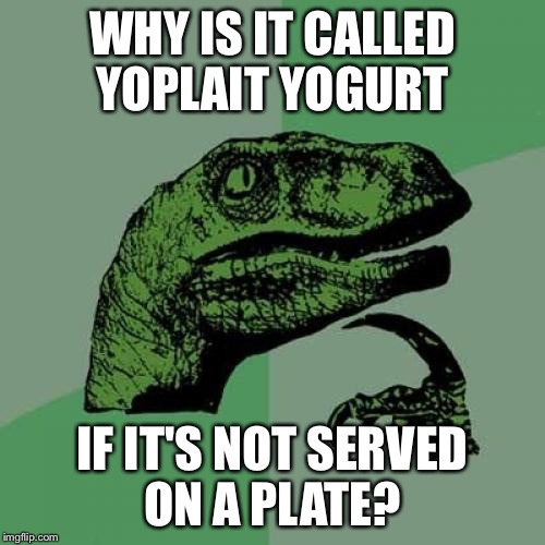 Philosoraptor | WHY IS IT CALLED YOPLAIT YOGURT; IF IT'S NOT SERVED ON A PLATE? | image tagged in memes,philosoraptor | made w/ Imgflip meme maker