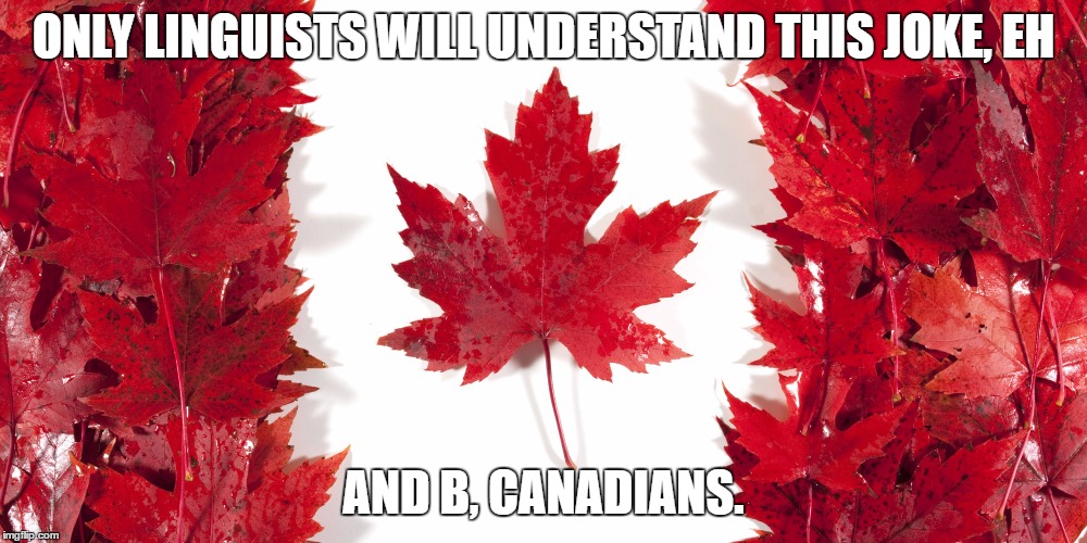 ONLY LINGUISTS WILL UNDERSTAND THIS JOKE, EH; AND B, CANADIANS. | image tagged in canada | made w/ Imgflip meme maker