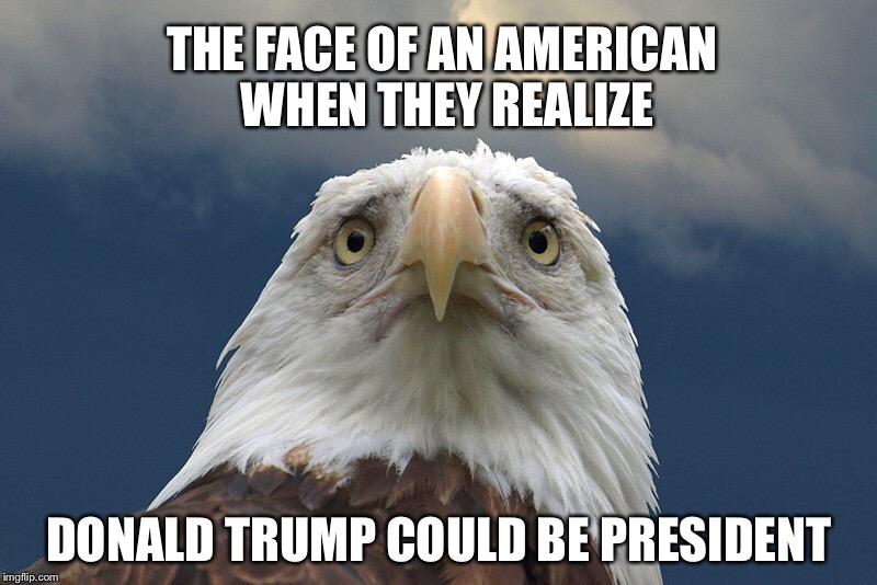 Worried Eagle | THE FACE OF AN AMERICAN WHEN THEY REALIZE; DONALD TRUMP COULD BE PRESIDENT | image tagged in donald trump | made w/ Imgflip meme maker