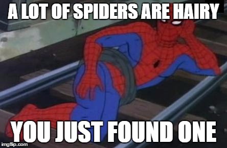 Sexy Railroad Spiderman Meme | A LOT OF SPIDERS ARE HAIRY; YOU JUST FOUND ONE | image tagged in memes,sexy railroad spiderman,spiderman | made w/ Imgflip meme maker