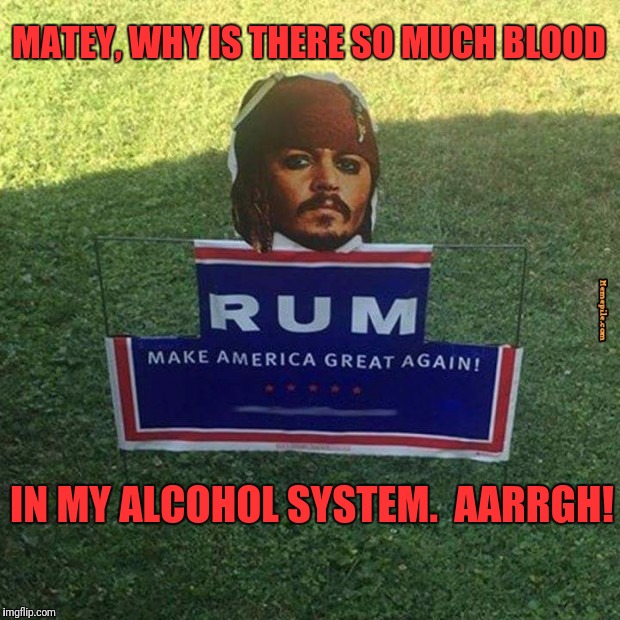 MATEY, WHY IS THERE SO MUCH BLOOD IN MY ALCOHOL SYSTEM.  AARRGH! | made w/ Imgflip meme maker