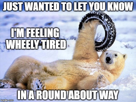 No Catchy Title Here - Just A Cute Meme | JUST WANTED TO LET YOU KNOW; I'M FEELING WHEELY TIRED; IN A ROUND ABOUT WAY | image tagged in polar bear,puns | made w/ Imgflip meme maker