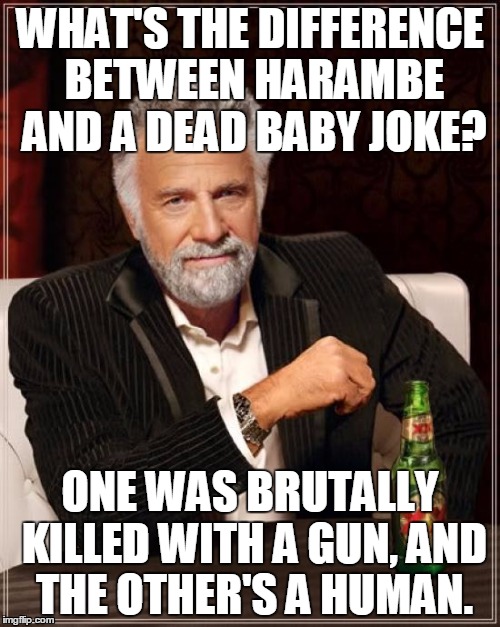 The Most Interesting Man In The World | WHAT'S THE DIFFERENCE BETWEEN HARAMBE AND A DEAD BABY JOKE? ONE WAS BRUTALLY KILLED WITH A GUN, AND THE OTHER'S A HUMAN. | image tagged in memes,the most interesting man in the world | made w/ Imgflip meme maker