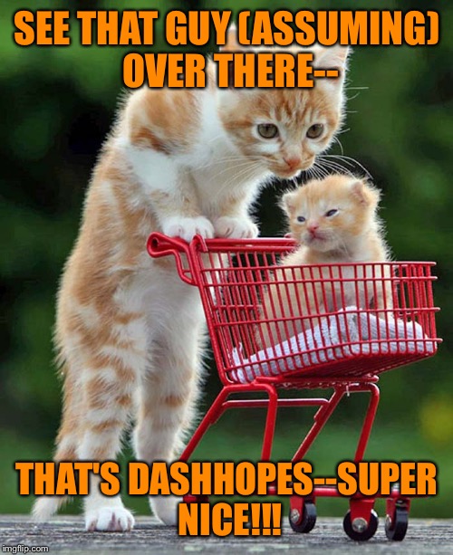 SEE THAT GUY (ASSUMING) OVER THERE-- THAT'S DASHHOPES--SUPER NICE!!! | made w/ Imgflip meme maker