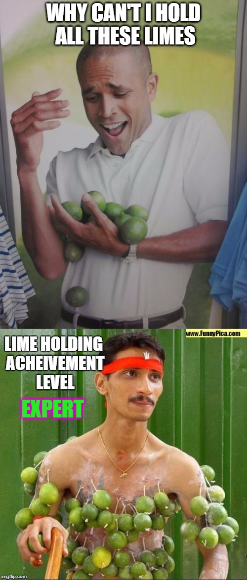 One Must Learn From The Master | WHY CAN'T I HOLD ALL THESE LIMES; LIME HOLDING ACHEIVEMENT LEVEL; EXPERT | image tagged in why can't i hold all these limes | made w/ Imgflip meme maker