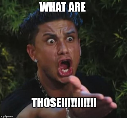 DJ Pauly D | WHAT ARE; THOSE!!!!!!!!!!! | image tagged in memes,dj pauly d | made w/ Imgflip meme maker