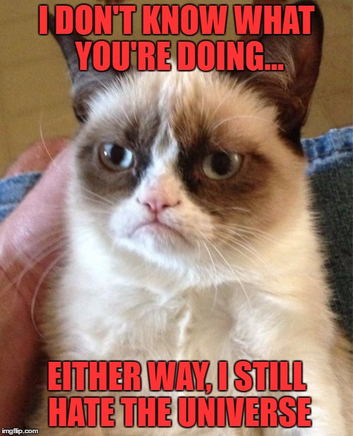 Grumpy Cat Wants To Know What You're Doing | I DON'T KNOW WHAT YOU'RE DOING... EITHER WAY, I STILL HATE THE UNIVERSE | image tagged in memes,grumpy cat | made w/ Imgflip meme maker