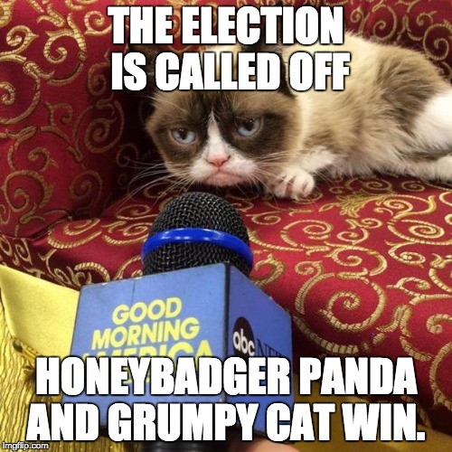 grumpy cat news | THE ELECTION IS CALLED OFF; HONEYBADGER PANDA AND GRUMPY CAT WIN. | image tagged in grumpy cat news | made w/ Imgflip meme maker