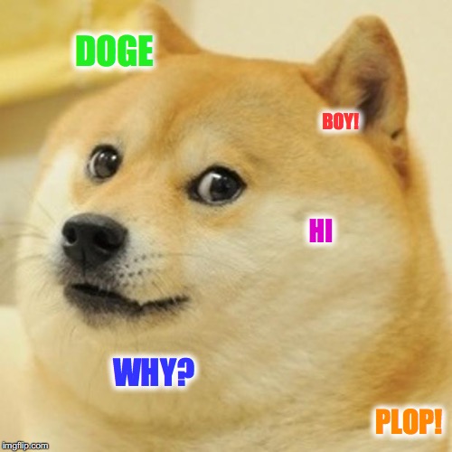 Doge | DOGE; BOY! HI; WHY? PLOP! | image tagged in memes,doge | made w/ Imgflip meme maker