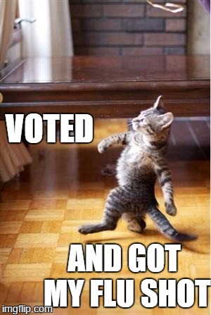 Walking Cat | VOTED; AND GOT MY FLU SHOT | image tagged in walking cat | made w/ Imgflip meme maker