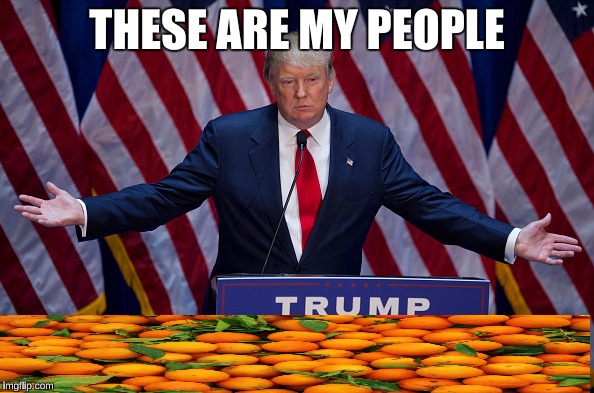 Donald Trump | THESE ARE MY PEOPLE | image tagged in donald trump | made w/ Imgflip meme maker