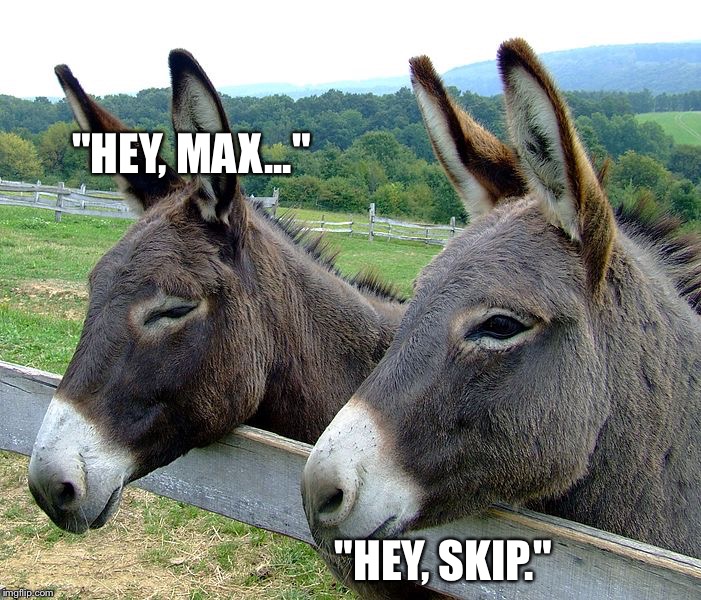 "HEY, MAX..."; "HEY, SKIP." | made w/ Imgflip meme maker