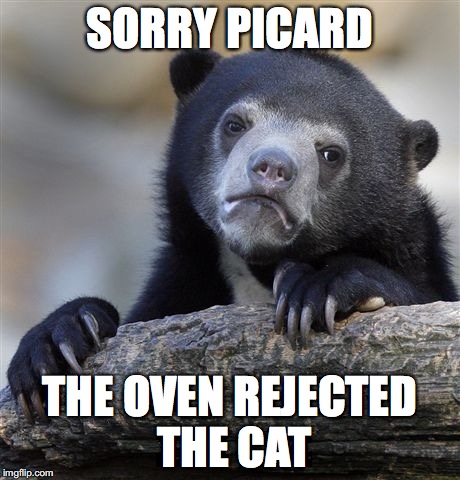 Confession Bear Meme | SORRY PICARD; THE OVEN REJECTED THE CAT | image tagged in memes,confession bear | made w/ Imgflip meme maker