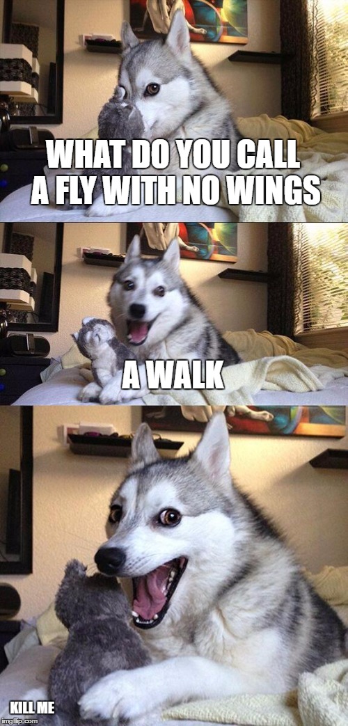 Bad Pun Dog | WHAT DO YOU CALL A FLY WITH NO WINGS; A WALK; KILL ME | image tagged in memes,bad pun dog | made w/ Imgflip meme maker