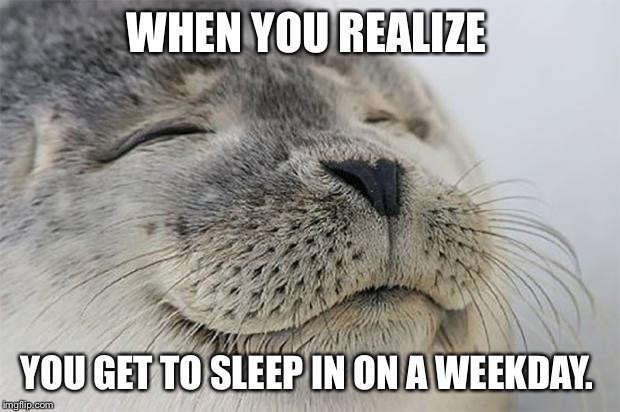 Satisfied Seal Meme | WHEN YOU REALIZE; YOU GET TO SLEEP IN ON A WEEKDAY. | image tagged in memes,satisfied seal | made w/ Imgflip meme maker