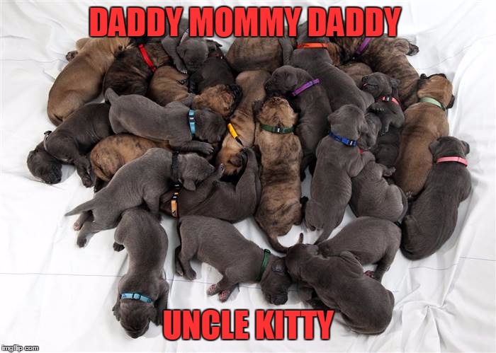 DADDY MOMMY DADDY UNCLE KITTY | made w/ Imgflip meme maker