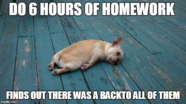 tired dog | DO 6 HOURS OF HOMEWORK; FINDS OUT THERE WAS A BACKTO ALL OF THEM | image tagged in tired dog | made w/ Imgflip meme maker