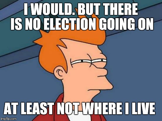 Futurama Fry Meme | I WOULD. BUT THERE IS NO ELECTION GOING ON AT LEAST NOT WHERE I LIVE | image tagged in memes,futurama fry | made w/ Imgflip meme maker