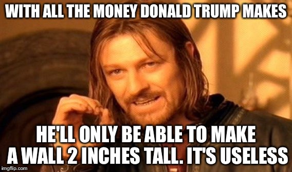 One Does Not Simply Meme | WITH ALL THE MONEY DONALD TRUMP MAKES; HE'LL ONLY BE ABLE TO MAKE A WALL 2 INCHES TALL. IT'S USELESS | image tagged in memes,one does not simply | made w/ Imgflip meme maker